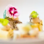 Hotel Boutique Albus Centre 4*